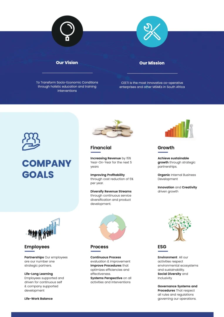 CEETI: company goals