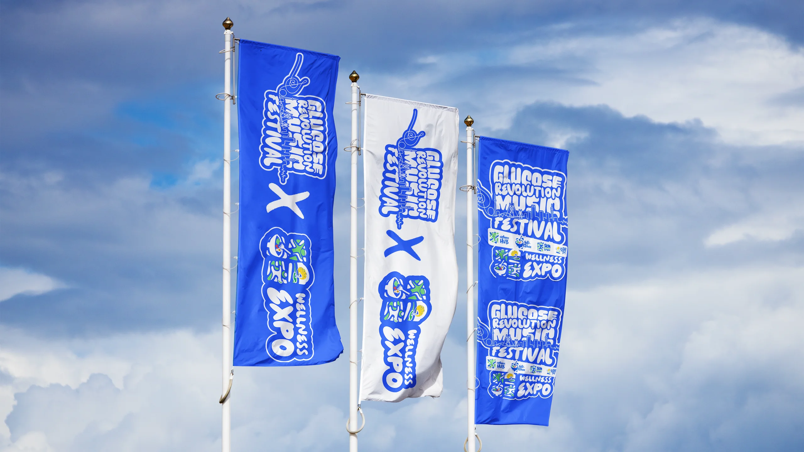 Glucose Revolution: venue flags