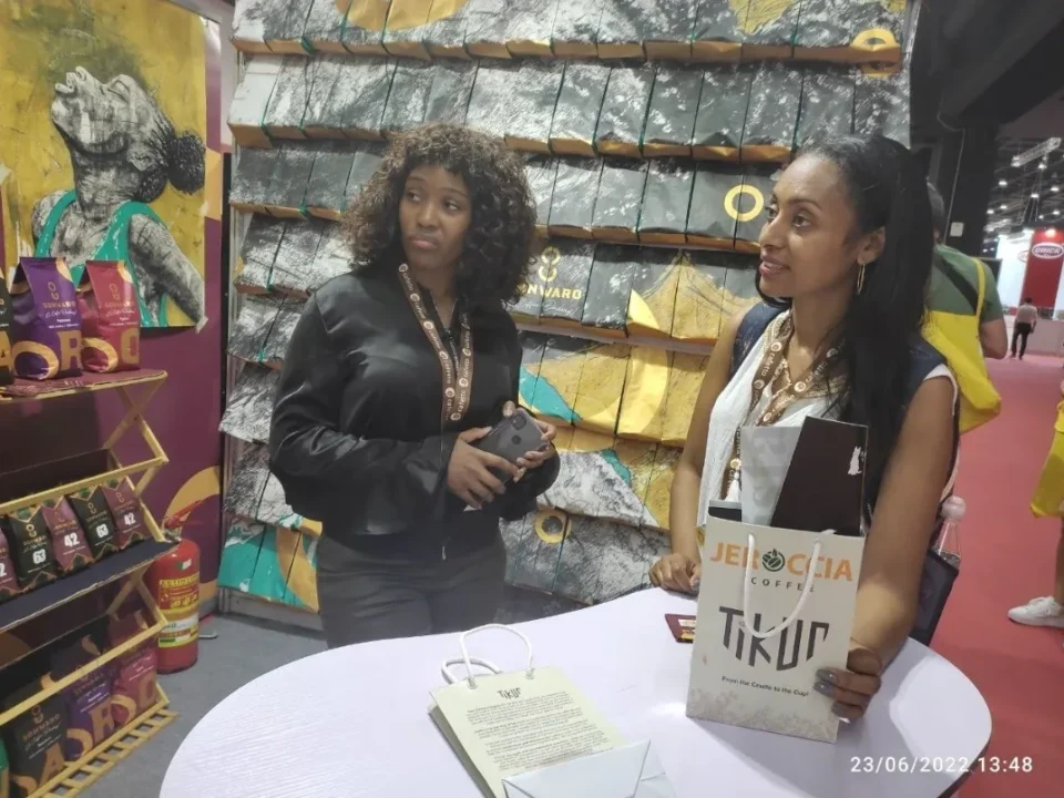 Visitors at the Sonwaro stand